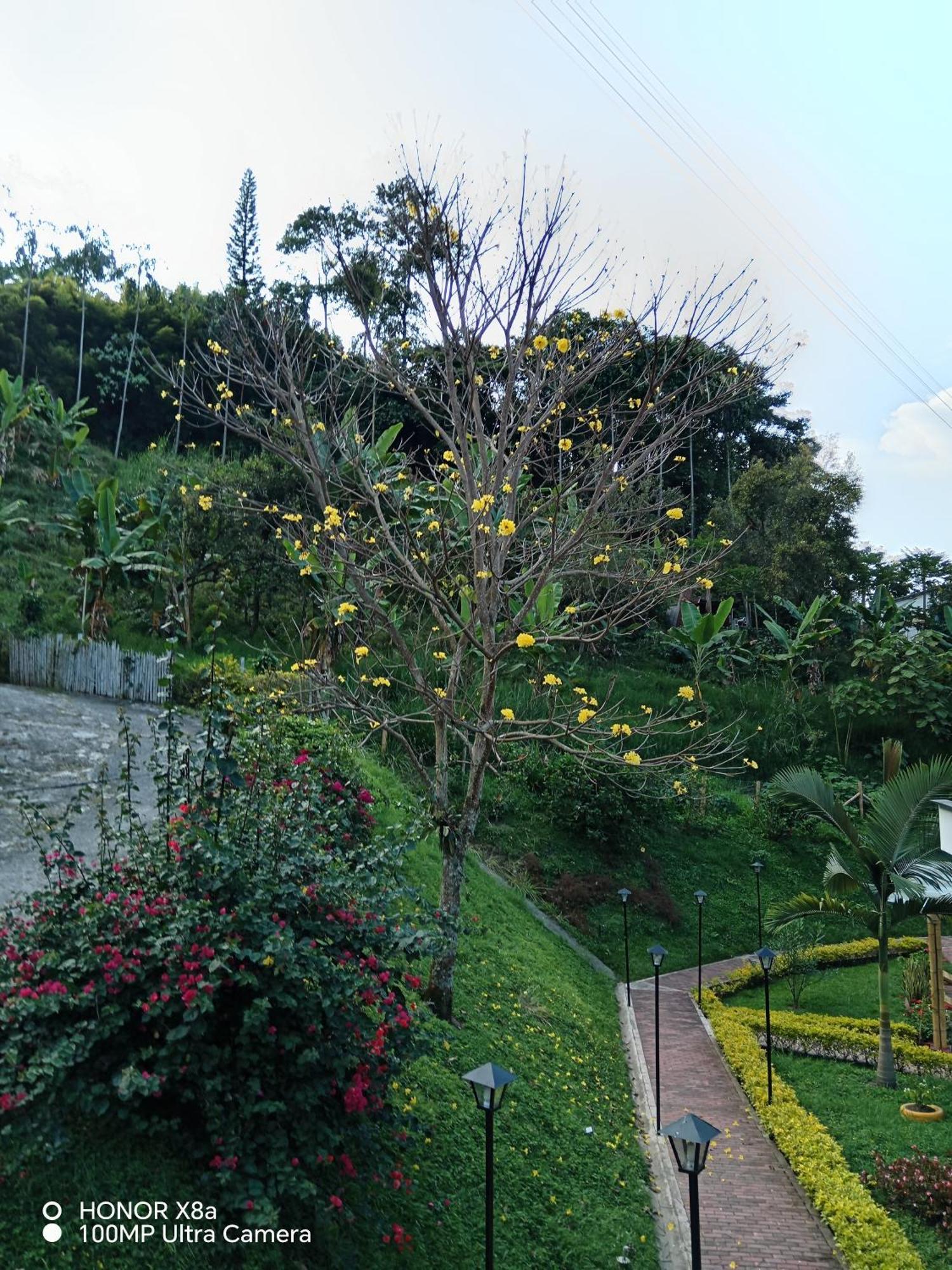 Hospedaje Campestre Providencia Villa Manizales Esterno foto